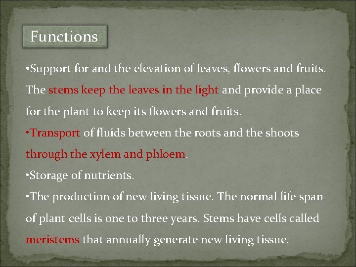 Functions • Support for and the elevation of leaves, flowers and fruits. The stems
