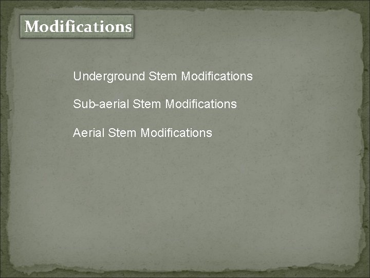 Modifications Underground Stem Modifications Sub-aerial Stem Modifications Aerial Stem Modifications 