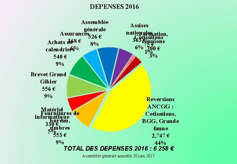 DEPENSES 2016 Assemblée générale Assurances 526 € 368 € 8% Achats de 6% calendriers