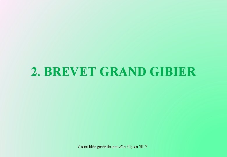 2. BREVET GRAND GIBIER Assemblée générale annuelle 30 juin 2017 