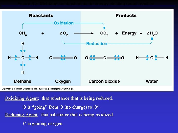 Figure 9. 3 Methane combustion as an energy-yielding redox reaction Oxidizing Agent: that substance