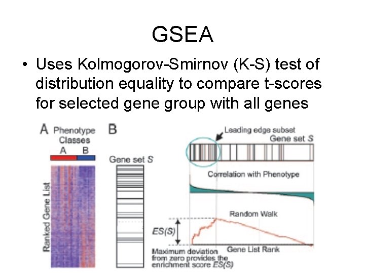 GSEA • Uses Kolmogorov-Smirnov (K-S) test of distribution equality to compare t-scores for selected