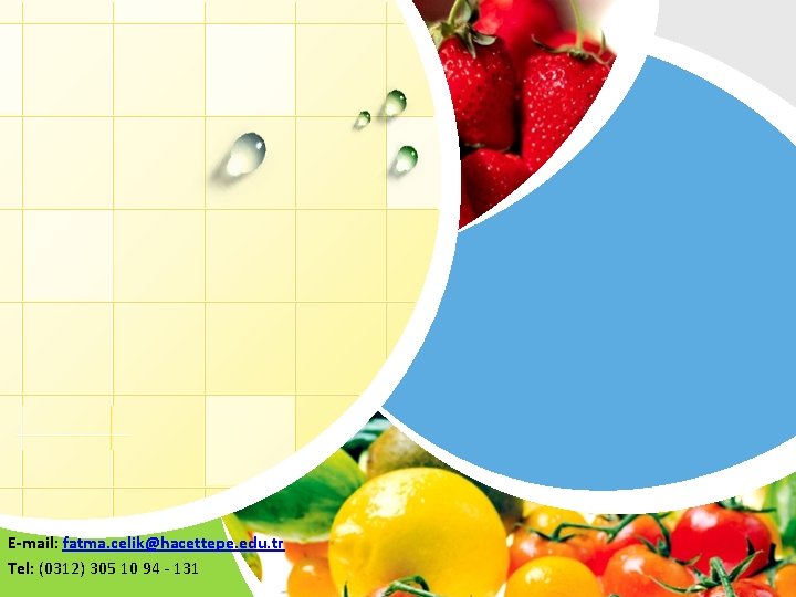 L/O/G/O E-mail: fatma. celik@hacettepe. edu. tr Tel: (0312) 305 10 94 - 131 