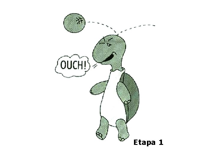 Etapa 1 