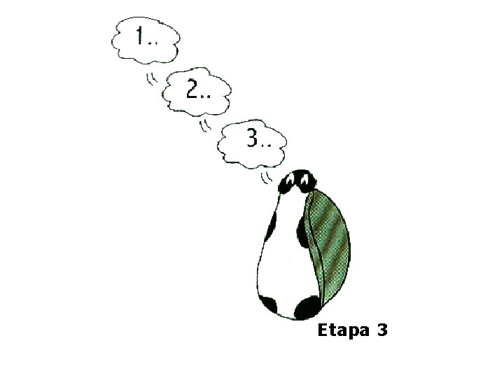 Etapa 3 