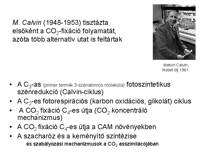 M. Calvin (1948 -1953) tisztázta elsőként a CO 2 -fixáció folyamatát, azóta több alternatív