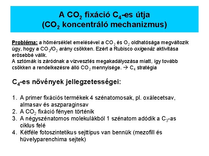 A CO 2 fixáció C 4 -es útja (CO 2 koncentráló mechanizmus) Probléma: a