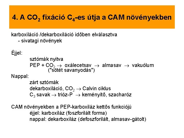 4. A CO 2 fixáció C 4 -es útja a CAM növényekben karboxiláció /dekarboxiláció