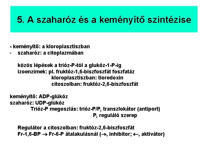 5. A szaharóz és a keményítő szintézise - keményítő: a kloroplasztiszban - szaharóz: a