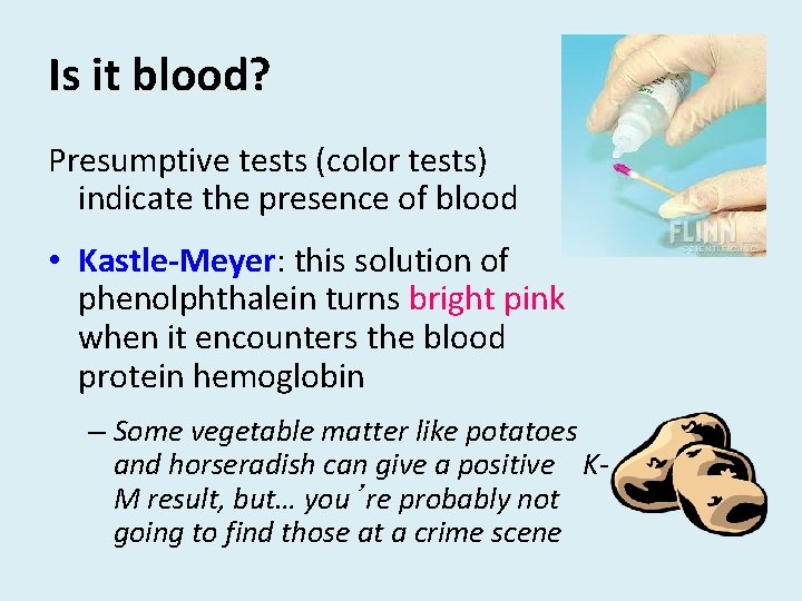 Is it blood? Presumptive tests (color tests) indicate the presence of blood • Kastle-Meyer: