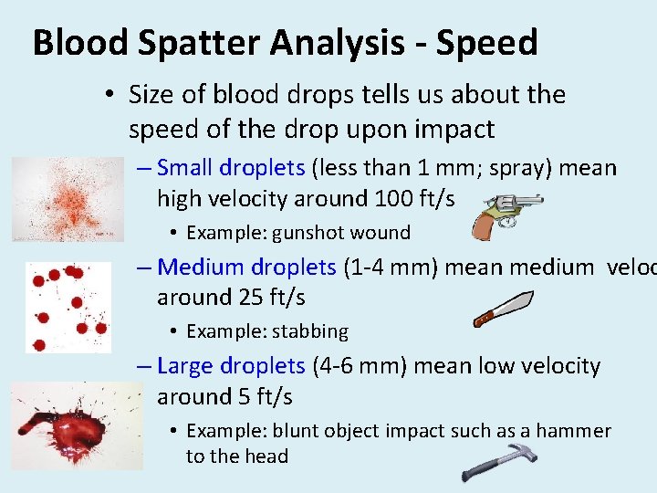 Blood Spatter Analysis - Speed • Size of blood drops tells us about the