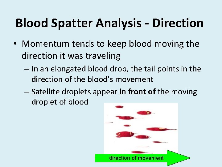 Blood Spatter Analysis - Direction • Momentum tends to keep blood moving the direction