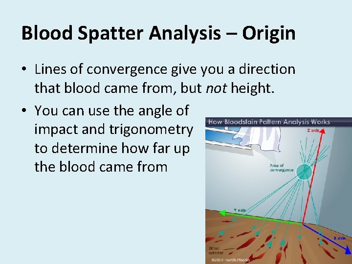 Blood Spatter Analysis – Origin • Lines of convergence give you a direction that
