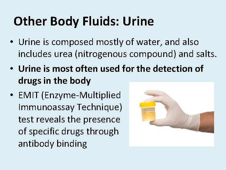 Other Body Fluids: Urine • Urine is composed mostly of water, and also includes