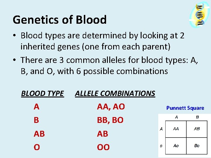 Genetics of Blood • Blood types are determined by looking at 2 inherited genes