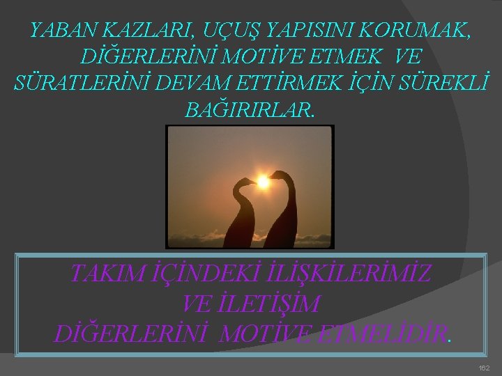 YABAN KAZLARI, UÇUŞ YAPISINI KORUMAK, DİĞERLERİNİ MOTİVE ETMEK VE SÜRATLERİNİ DEVAM ETTİRMEK İÇİN SÜREKLİ