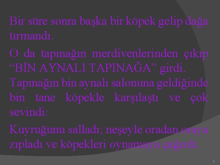 Bir süre sonra başka bir köpek gelip dağa tırmandı. O da tapınağın merdivenlerinden çıkıp