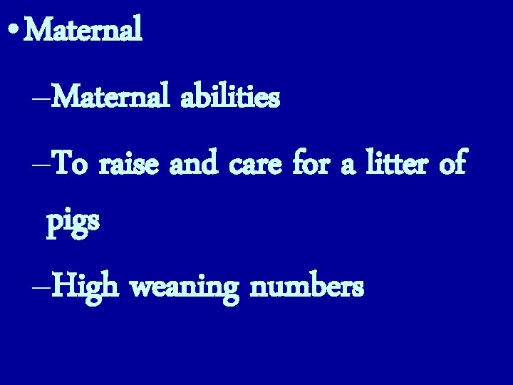  • Maternal –Maternal abilities –To raise and care for a litter of pigs