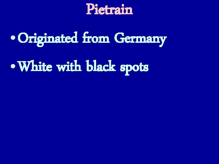 Pietrain • Originated from Germany • White with black spots 