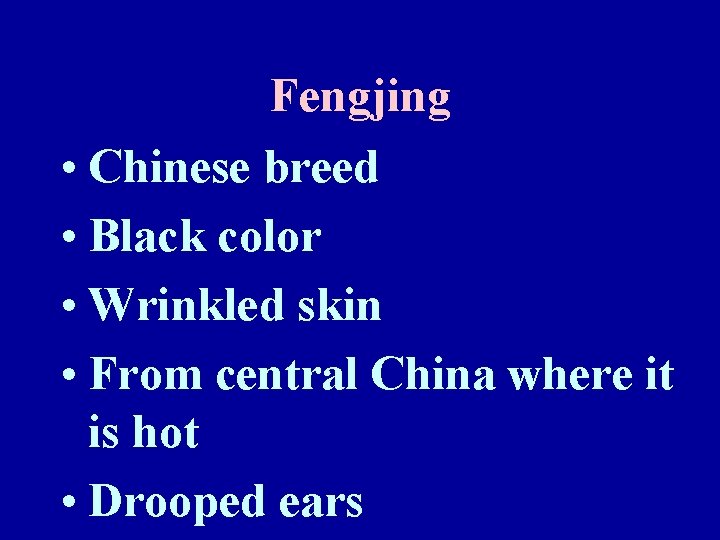 Fengjing • Chinese breed • Black color • Wrinkled skin • From central China