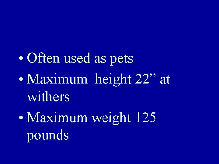  • Often used as pets • Maximum height 22” at withers • Maximum