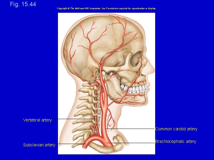 Fig. 15. 44 Copyright © The Mc. Graw-Hill Companies, Inc. Permission required for reproduction