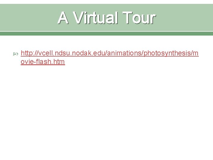 A Virtual Tour http: //vcell. ndsu. nodak. edu/animations/photosynthesis/m ovie-flash. htm 