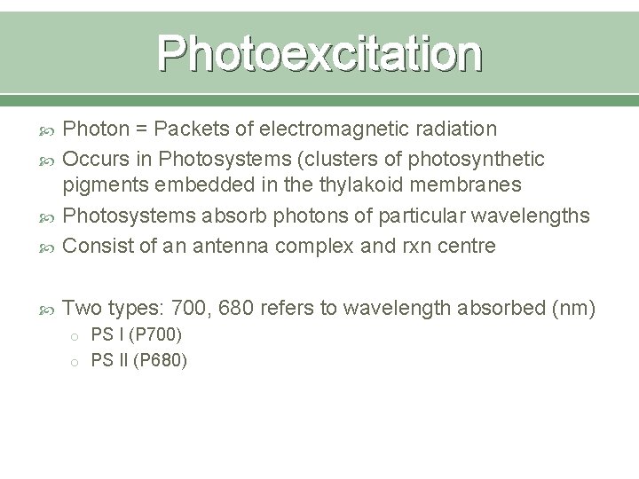 Photoexcitation Photon = Packets of electromagnetic radiation Occurs in Photosystems (clusters of photosynthetic pigments