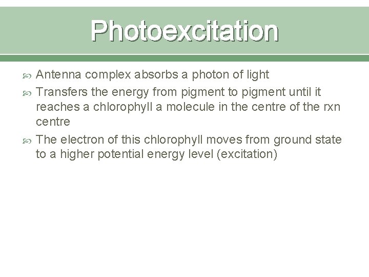Photoexcitation Antenna complex absorbs a photon of light Transfers the energy from pigment to