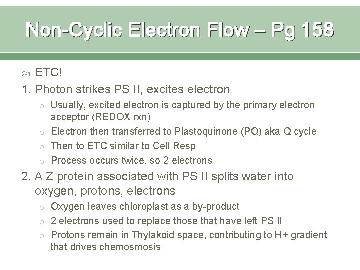 Non-Cyclic Electron Flow – Pg 158 ETC! 1. Photon strikes PS II, excites electron