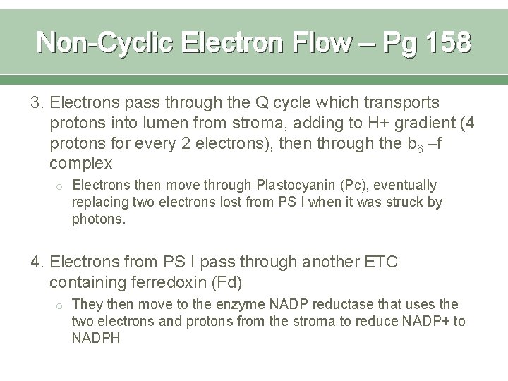 Non-Cyclic Electron Flow – Pg 158 3. Electrons pass through the Q cycle which