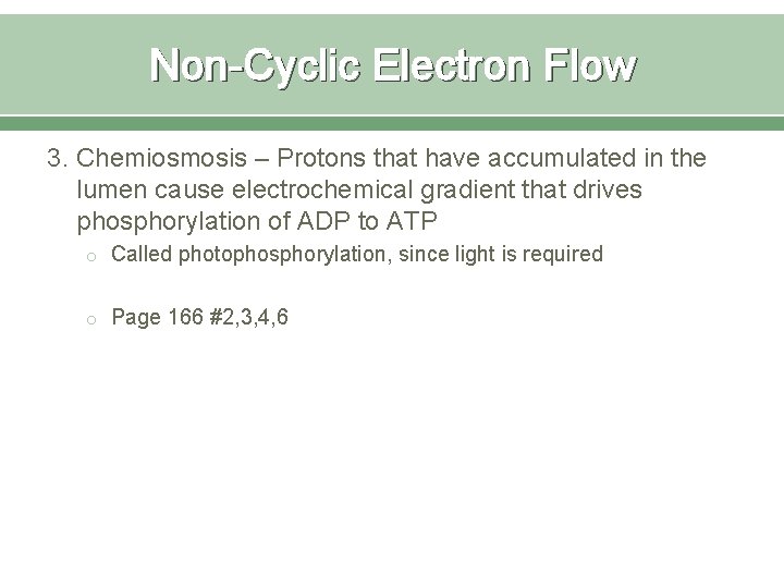 Non-Cyclic Electron Flow 3. Chemiosmosis – Protons that have accumulated in the lumen cause