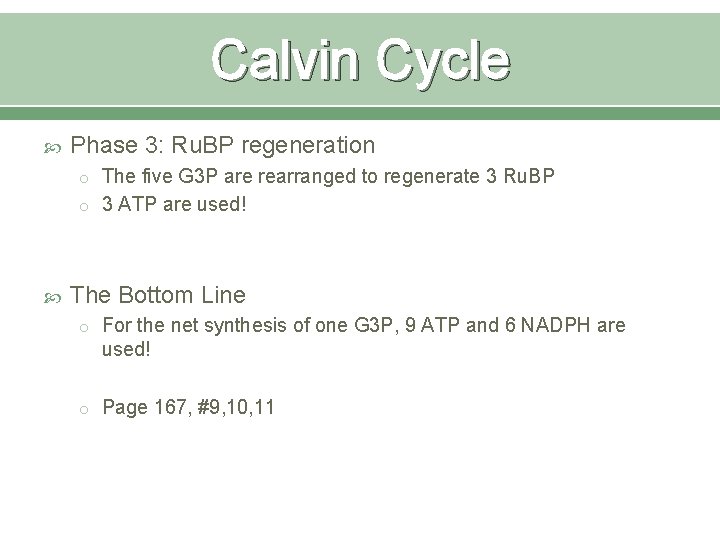 Calvin Cycle Phase 3: Ru. BP regeneration o The five G 3 P are