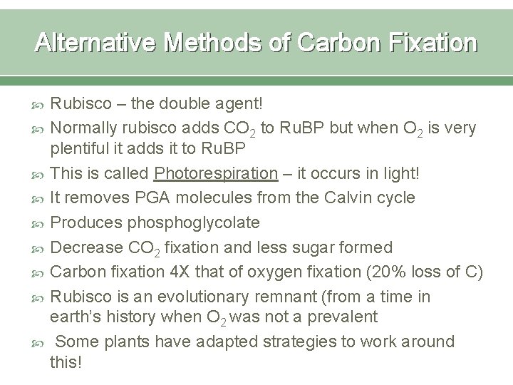 Alternative Methods of Carbon Fixation Rubisco – the double agent! Normally rubisco adds CO