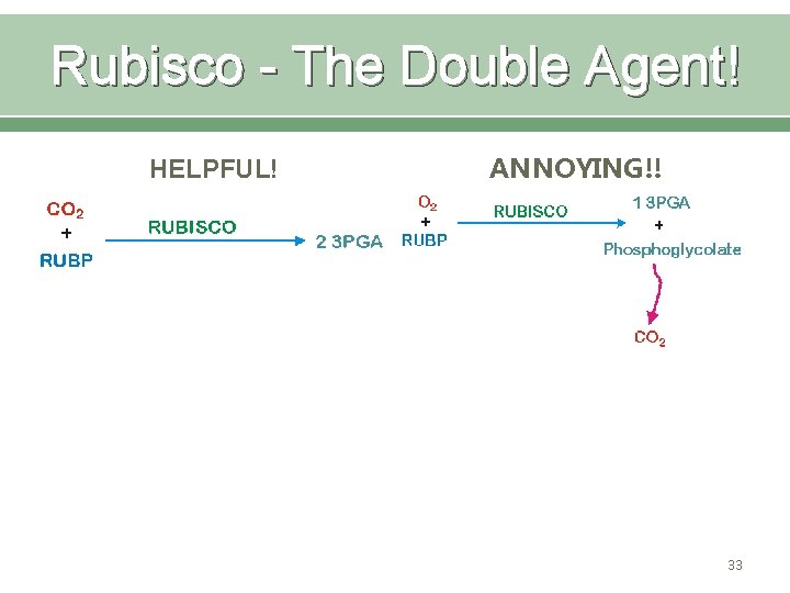 Rubisco - The Double Agent! HELPFUL! ANNOYING!! 33 