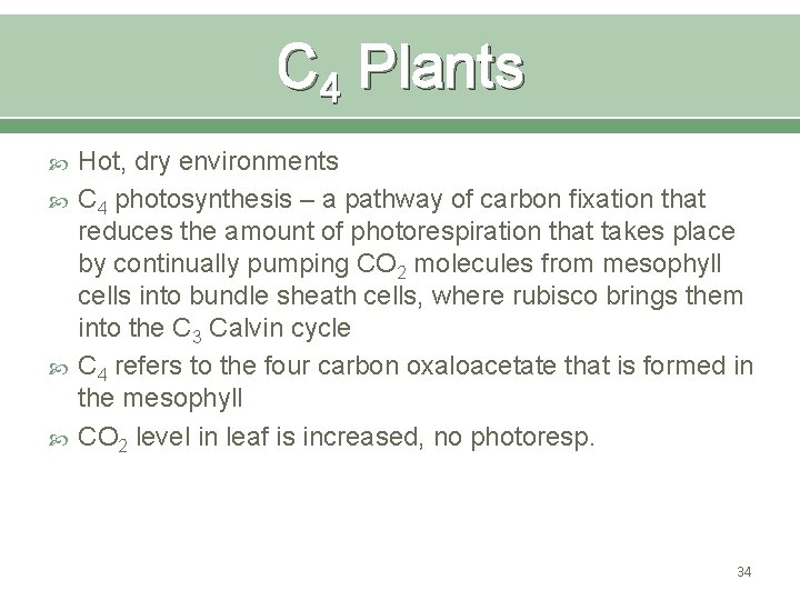 C 4 Plants Hot, dry environments C 4 photosynthesis – a pathway of carbon