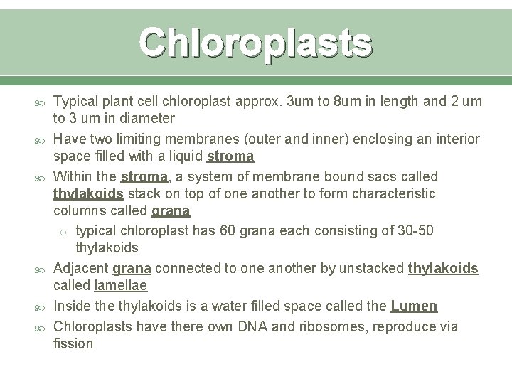 Chloroplasts Typical plant cell chloroplast approx. 3 um to 8 um in length and