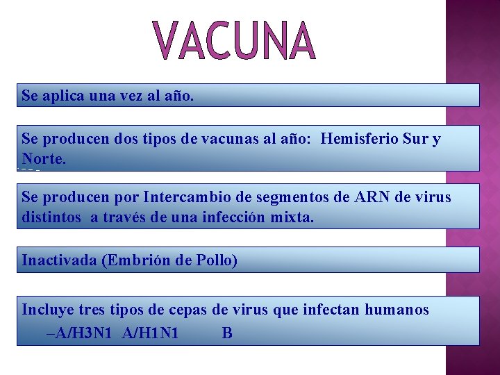 Se aplica una vez al año. Se producen dos tipos de vacunas al año: