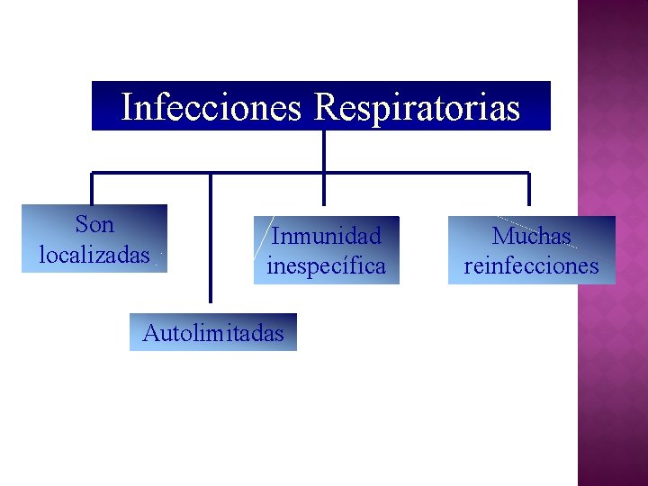 Infecciones Respiratorias Son localizadas Inmunidad inespecífica Autolimitadas Muchas reinfecciones 