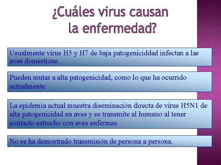 Usualmente virus H 5 y H 7 de baja patogeniciddad infectan a las aves