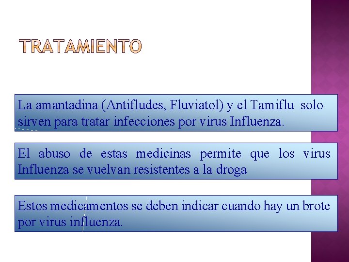 La amantadina (Antifludes, Fluviatol) y el Tamiflu solo sirven para tratar infecciones por virus