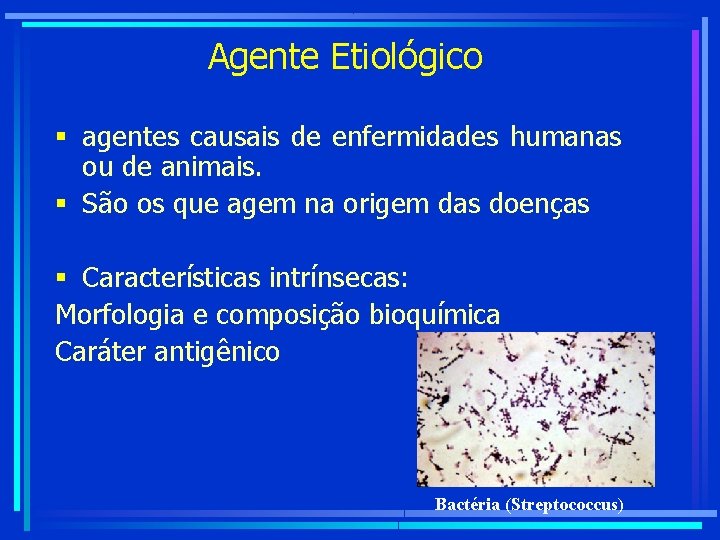 Agente Etiológico § agentes causais de enfermidades humanas ou de animais. § São os