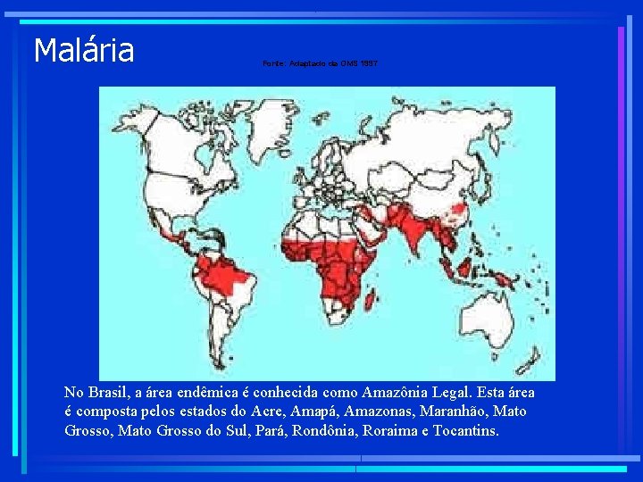 Malária Fonte: Adaptado da OMS 1997 No Brasil, a área endêmica é conhecida como