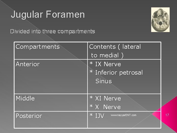 Jugular Foramen Divided into three compartments Compartments Anterior Middle Posterior Contents ( lateral to