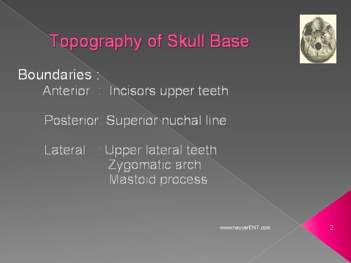 Topography of Skull Base Boundaries : Anterior : Incisors upper teeth Posterior: Superior nuchal