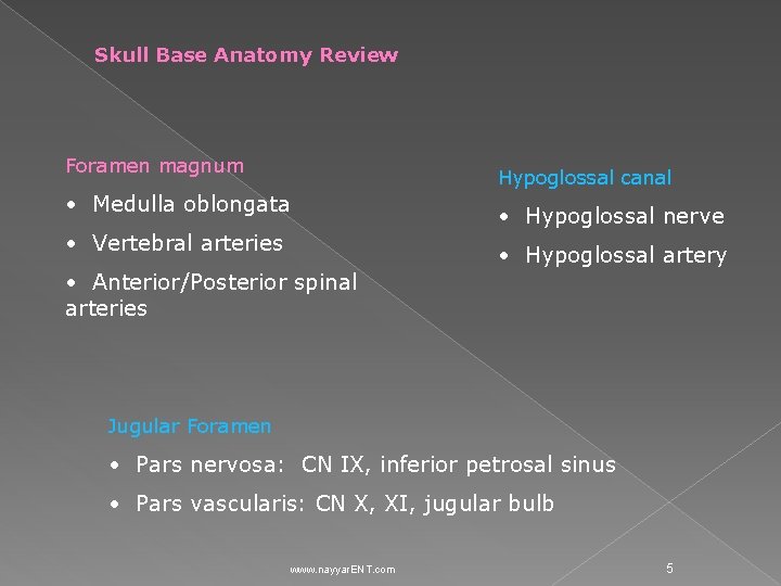 Skull Base Anatomy Review Foramen magnum Hypoglossal canal • Medulla oblongata • Vertebral arteries