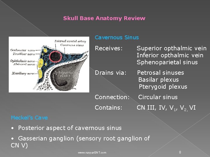 Skull Base Anatomy Review Cavernous Sinus Receives: Superior opthalmic vein Inferior opthalmic vein Sphenoparietal