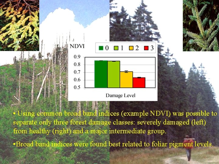  • Using common broad band indices (example NDVI) was possible to separate only