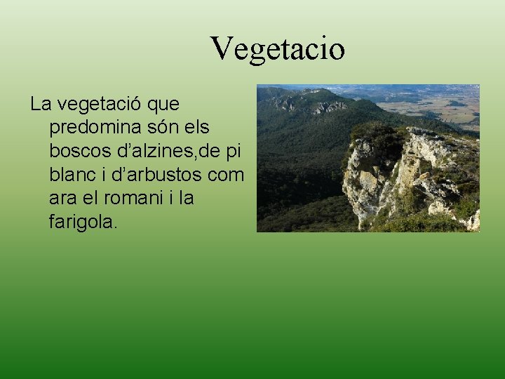 Vegetacio La vegetació que predomina són els boscos d’alzines, de pi blanc i d’arbustos