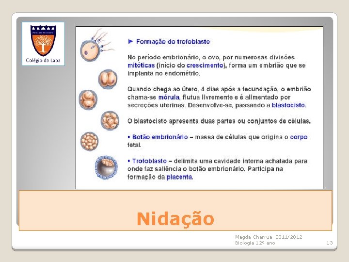 Nidação Magda Charrua 2011/2012 Biologia 12º ano 13 